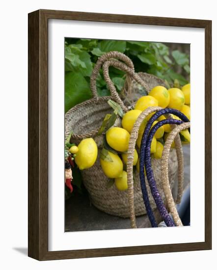 Handbag with Lemons, Positano, Amalfi Coast, Campania, Italy-Walter Bibikow-Framed Photographic Print