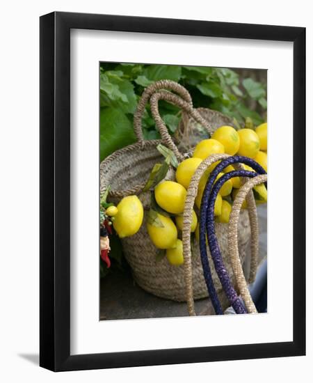 Handbag with Lemons, Positano, Amalfi Coast, Campania, Italy-Walter Bibikow-Framed Photographic Print