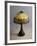 Handel Lamp in Glass Paste and Bronze, 1900-null-Framed Giclee Print