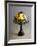 Handel Lamp in Glass Paste and Bronze, 1900-null-Framed Giclee Print