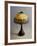 Handel Lamp in Glass Paste and Bronze, 1900-null-Framed Giclee Print