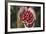 Handful of Coffee Cherries-Paul Souders-Framed Photographic Print