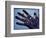 Handful of Microelectronic Parts-Fritz Goro-Framed Photographic Print