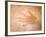 Handprint, Aboriginal Paintings, Raft Point, The Kimberly, Australia-Connie Bransilver-Framed Photographic Print