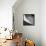 Handrail-Olavo Azevedo-Framed Premier Image Canvas displayed on a wall