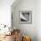 Handrail-Olavo Azevedo-Framed Photographic Print displayed on a wall