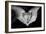 Hands and Baby Feet in a Heart-Nora Hernandez-Framed Photographic Print