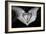 Hands and Baby Feet in a Heart-Nora Hernandez-Framed Photographic Print