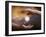 Hands Around a Drug Pill-Miriam Maslo-Framed Photographic Print