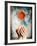 Hands Holding a Gerbera Daisy-Colin Anderson-Framed Photographic Print