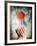 Hands Holding a Gerbera Daisy-Colin Anderson-Framed Photographic Print