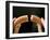 Hands Holding a Halved Frankfurter-null-Framed Photographic Print