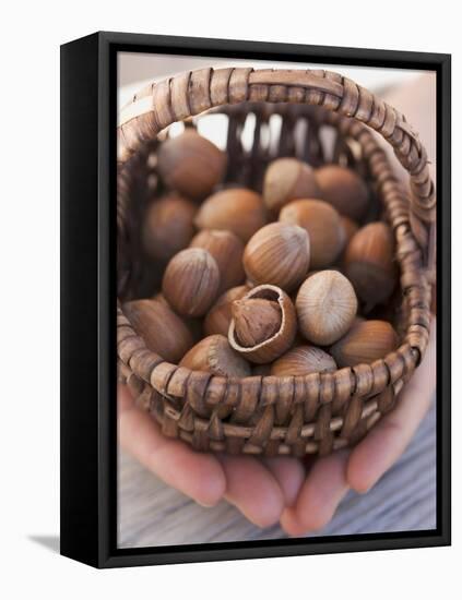 Hands Holding Basket of Hazelnuts-null-Framed Premier Image Canvas