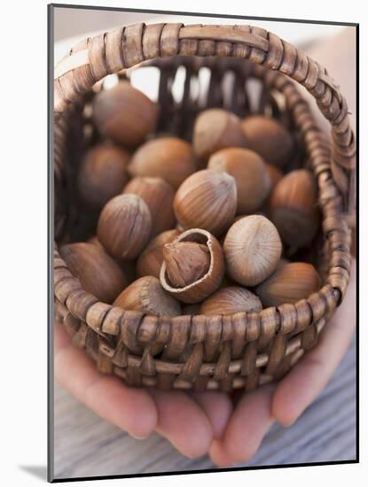 Hands Holding Basket of Hazelnuts-null-Mounted Photographic Print