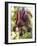 Hands Holding Fresh Beetroot-null-Framed Photographic Print