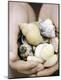Premium Photographic Print
