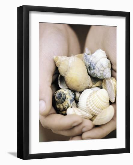 Hands Holding Seashells-null-Framed Photographic Print