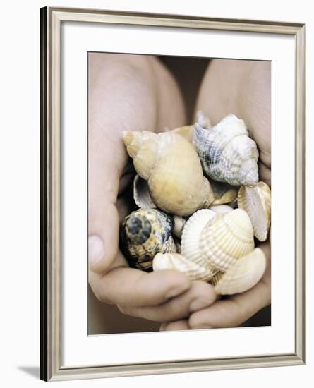 Hands Holding Seashells-null-Framed Photographic Print