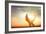 Hands Holding the Sun at Dawn-Masson-Framed Photographic Print