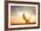 Hands Holding the Sun at Dawn-Masson-Framed Photographic Print