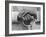 Hands of a Construction Worker, Mexico, 1926-Tina Modotti-Framed Photographic Print