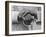 Hands of a Construction Worker, Mexico, 1926-Tina Modotti-Framed Photographic Print