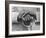 Hands of a Construction Worker, Mexico, 1926-Tina Modotti-Framed Photographic Print