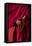 Hands of a Monk in Red Holding Prayer Beads, Leh, Ladakh, India-Ellen Clark-Framed Premier Image Canvas
