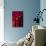 Hands of a Monk in Red Holding Prayer Beads, Leh, Ladakh, India-Ellen Clark-Photographic Print displayed on a wall