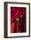 Hands of a Monk in Red Holding Prayer Beads, Leh, Ladakh, India-Ellen Clark-Framed Photographic Print