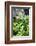 Hands of a Tea Picker Picking Tea in the Sri Lanka Central Highlands, Tea Country, Sri Lanka, Asia-Matthew Williams-Ellis-Framed Photographic Print