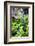 Hands of a Tea Picker Picking Tea in the Sri Lanka Central Highlands, Tea Country, Sri Lanka, Asia-Matthew Williams-Ellis-Framed Photographic Print