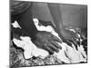 Hands of a Woman, Mexico, 1926-Tina Modotti-Mounted Giclee Print