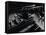 Hands of Jazz Pianist Eddie Heywood on Keyboard During Jam Session-Gjon Mili-Framed Premier Image Canvas