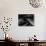 Hands of Jazz Pianist Eddie Heywood on Keyboard During Jam Session-Gjon Mili-Premium Photographic Print displayed on a wall