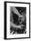 Hands of Lathe Worker-Ansel Adams-Framed Art Print