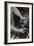 Hands of Lathe Worker-Ansel Adams-Framed Art Print