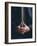 Hands of Monk in the Posture Kyoskku Monastery, Japan-Ursula Gahwiler-Framed Photographic Print