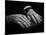 Hands of Russian Piano Virtuoso Sergei Rachmaninoff, with Wedding Ring on Right Hand-Eric Schaal-Mounted Premium Photographic Print