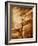 Hands on Baseball Bat-Colin Anderson-Framed Photographic Print