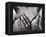 Hands on Nude Buttocks-Torsten Richter-Framed Premier Image Canvas