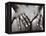 Hands on Nude Buttocks-Torsten Richter-Framed Premier Image Canvas