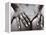 Hands on Nude Buttocks-Torsten Richter-Framed Premier Image Canvas