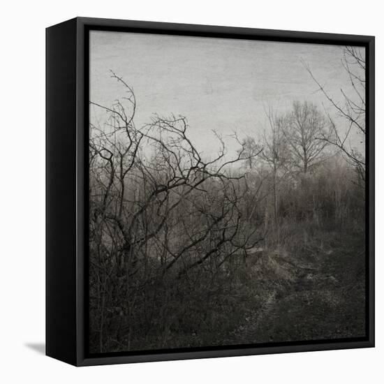 Hands-Tomislav Bogovic-Framed Premier Image Canvas