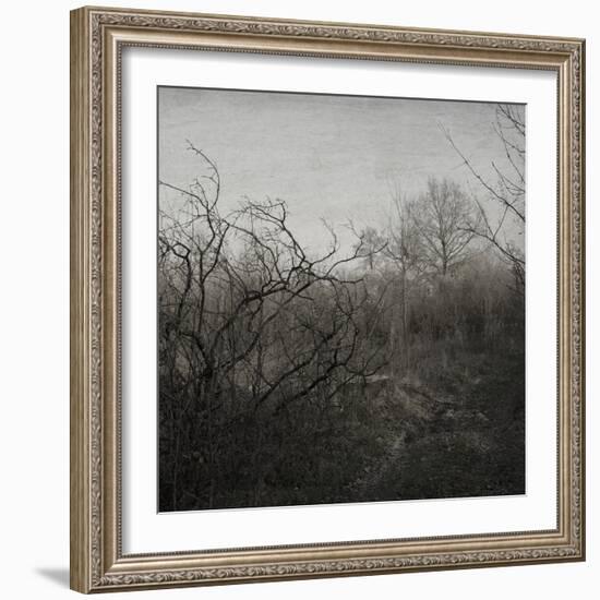 Hands-Tomislav Bogovic-Framed Photographic Print