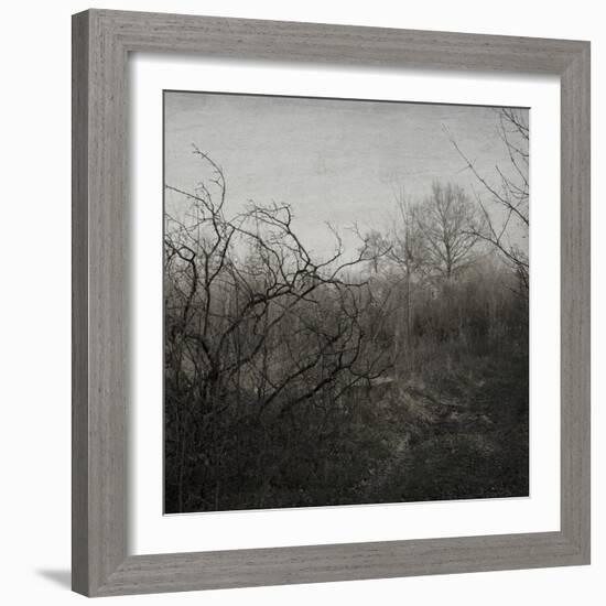 Hands-Tomislav Bogovic-Framed Photographic Print