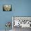Hands-Spencer Williams-Framed Premier Image Canvas displayed on a wall