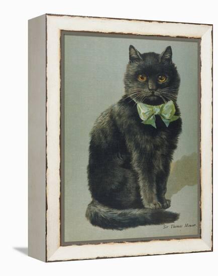 Handsome Black Cat Sir Thomas Mouser Sits Posed with a Green Ribbon Around His Neck-null-Framed Premier Image Canvas