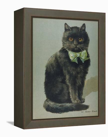 Handsome Black Cat Sir Thomas Mouser Sits Posed with a Green Ribbon Around His Neck-null-Framed Premier Image Canvas