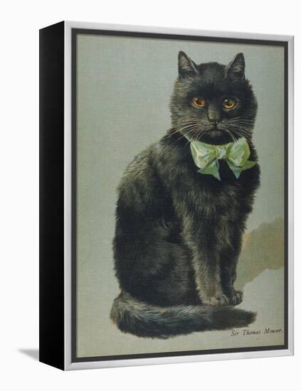 Handsome Black Cat Sir Thomas Mouser Sits Posed with a Green Ribbon Around His Neck-null-Framed Premier Image Canvas